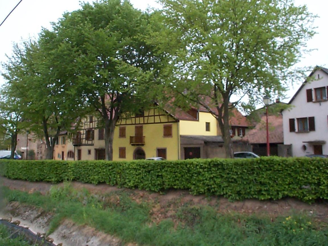La Maison Jaune Ammerschwihr Exterior photo
